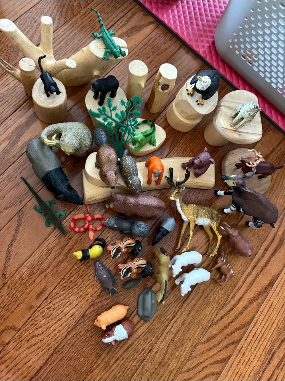 Miniature Animal Toy Set - Assorted Wildlife Figures